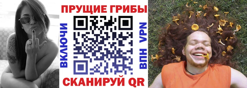 закладки  Нижнеудинск  Галлюциногенные грибы Psilocybe 